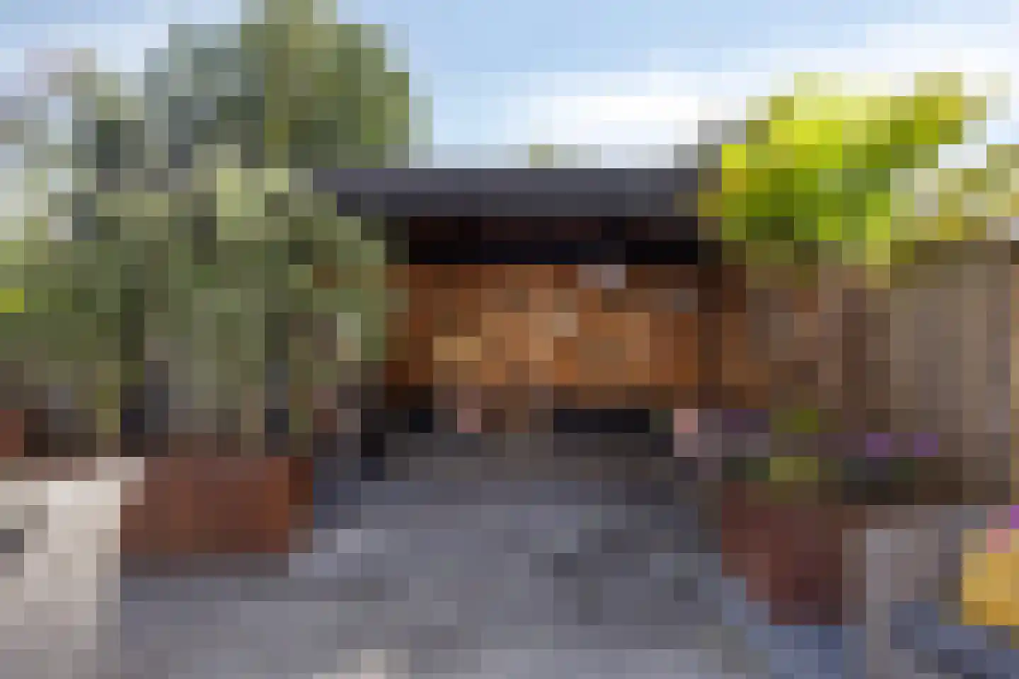 Klaproos 21 Made thumbnail 32