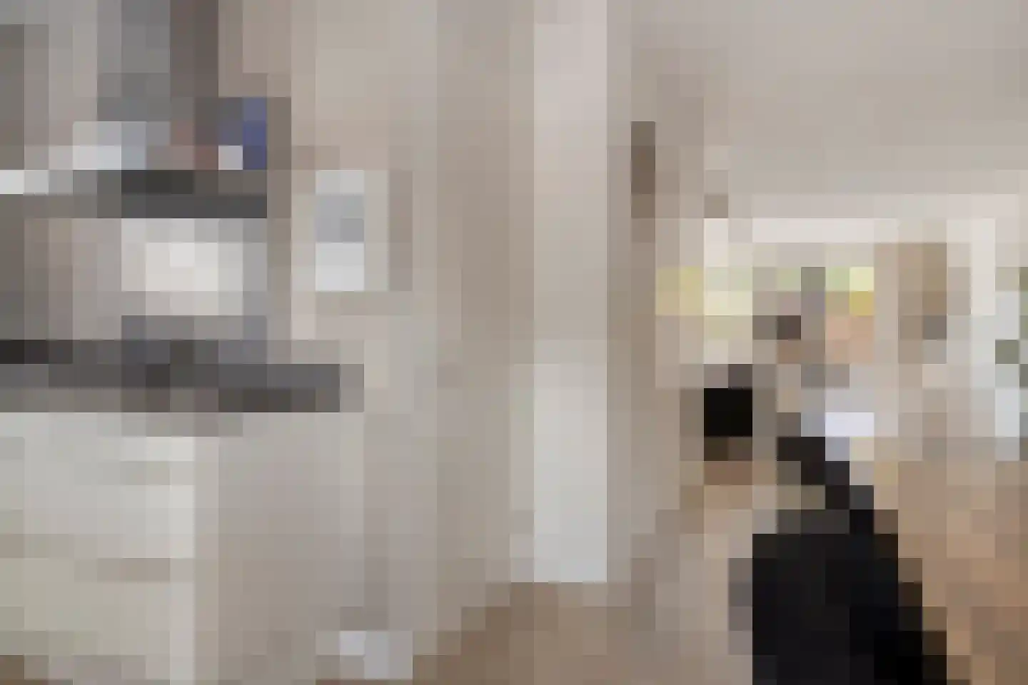 Klaproos 21 Made thumbnail 9