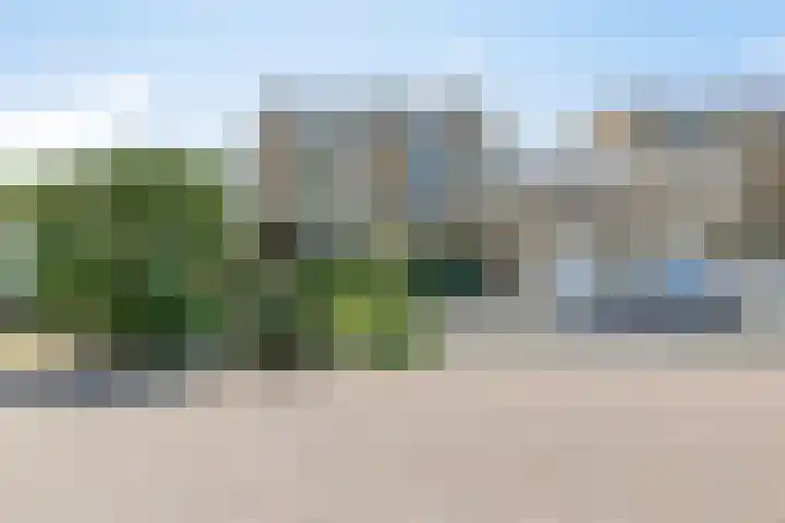 Klaproos 22 in Leiden