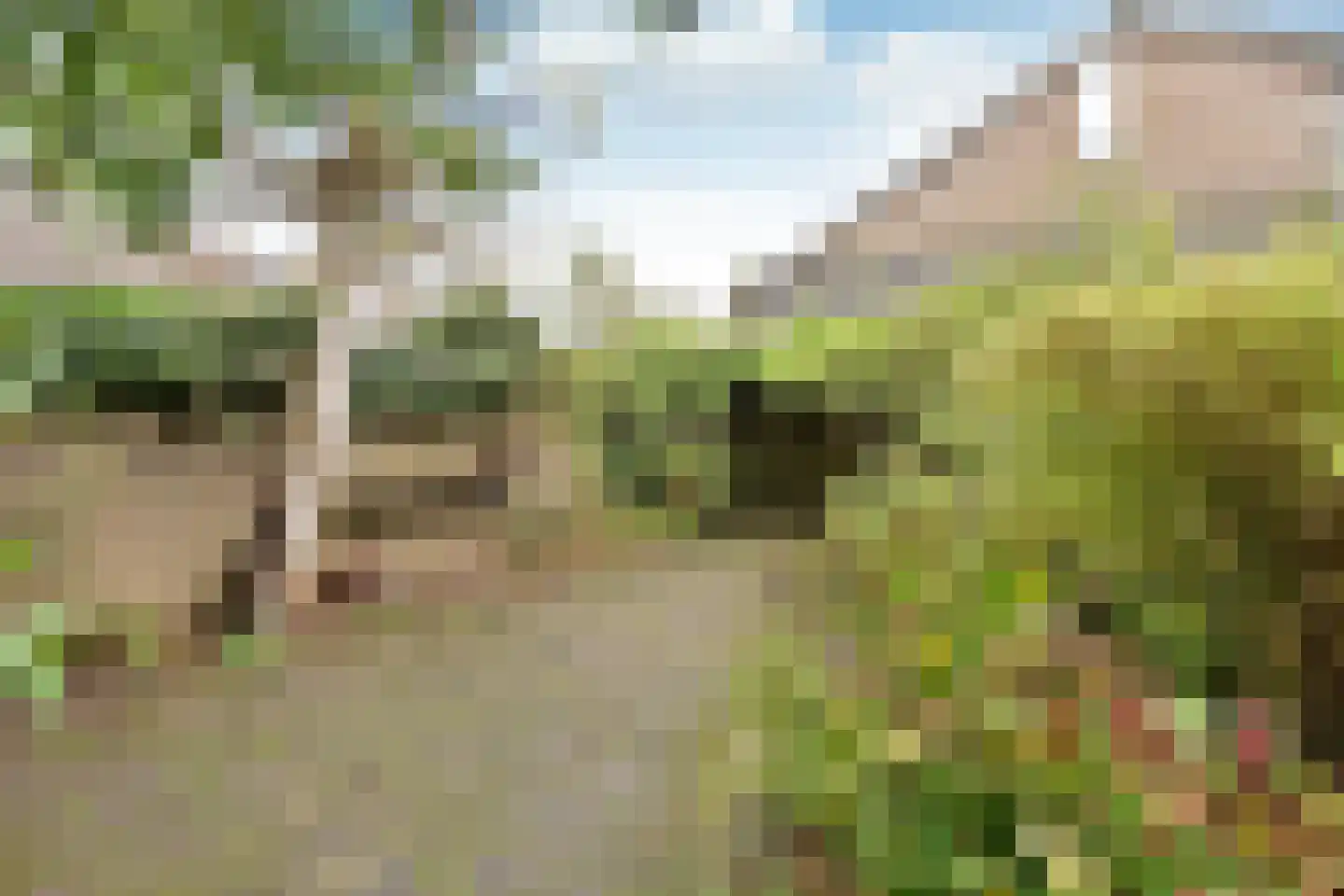 Klaproos 22 Eemnes thumbnail 10