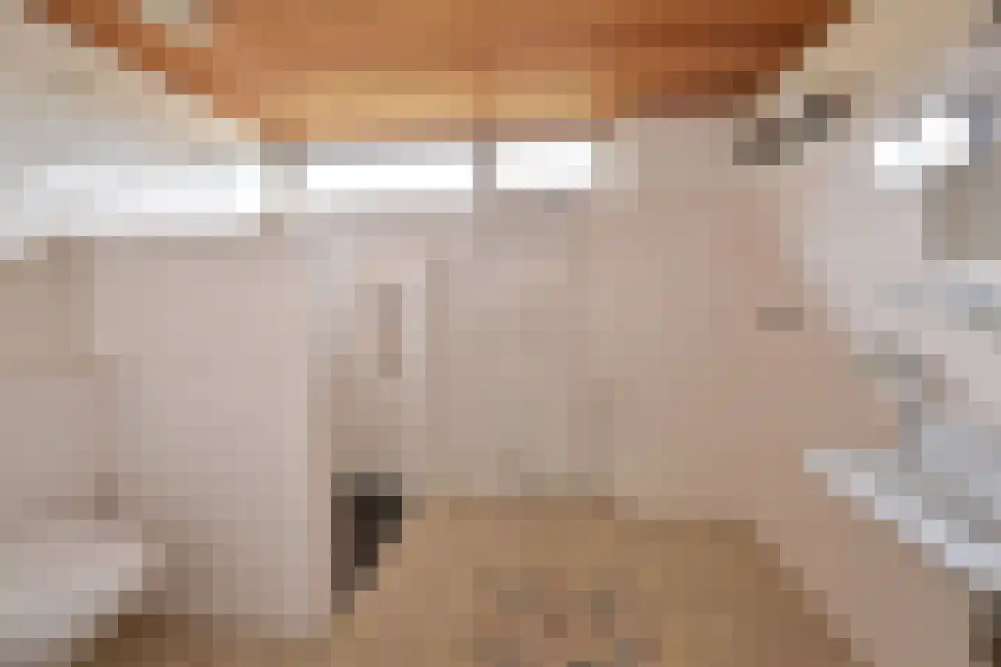Klaproos 22 Eemnes thumbnail 14
