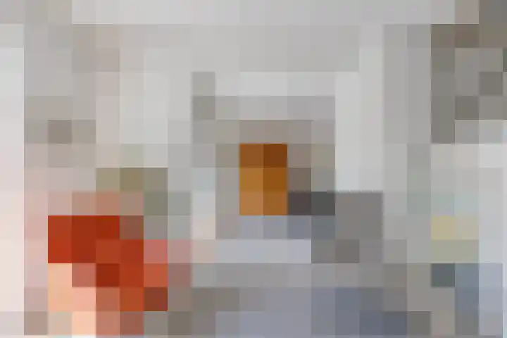 Klaproos 22 Leiden thumbnail 15