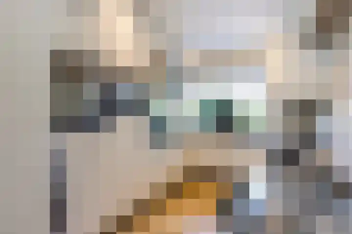 Klaproos 22 Leiden thumbnail 17