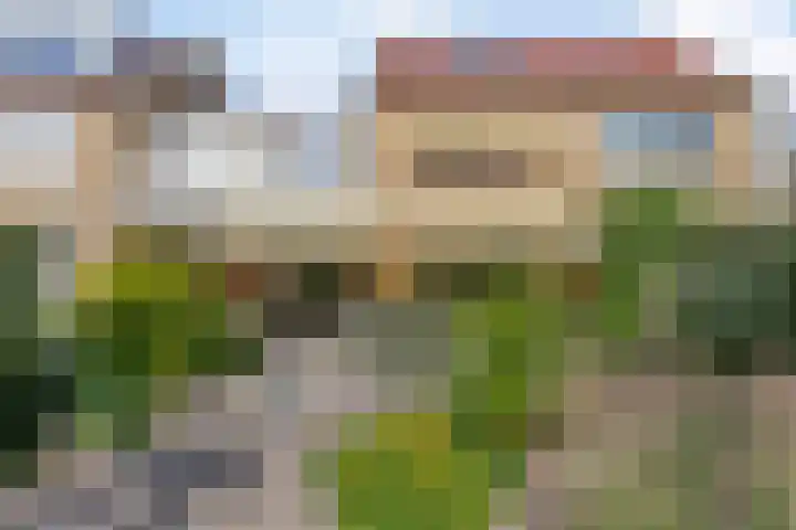 Klaproos 22 Leiden thumbnail 24