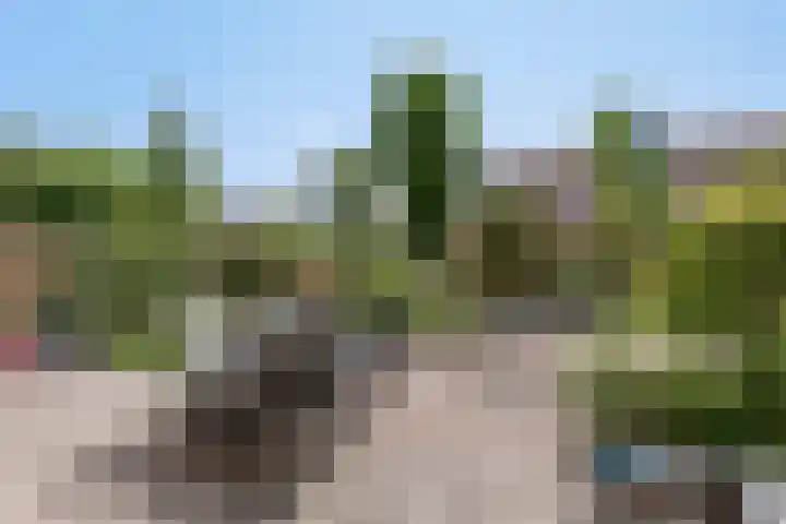 Klaproos 22 Leiden thumbnail 25