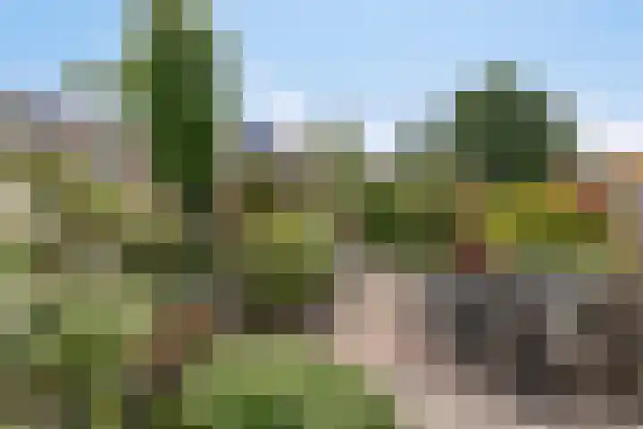 Klaproos 22 Leiden thumbnail 26