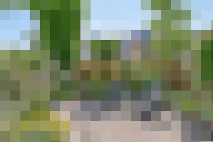 Klaproos 22 Leiden thumbnail 27