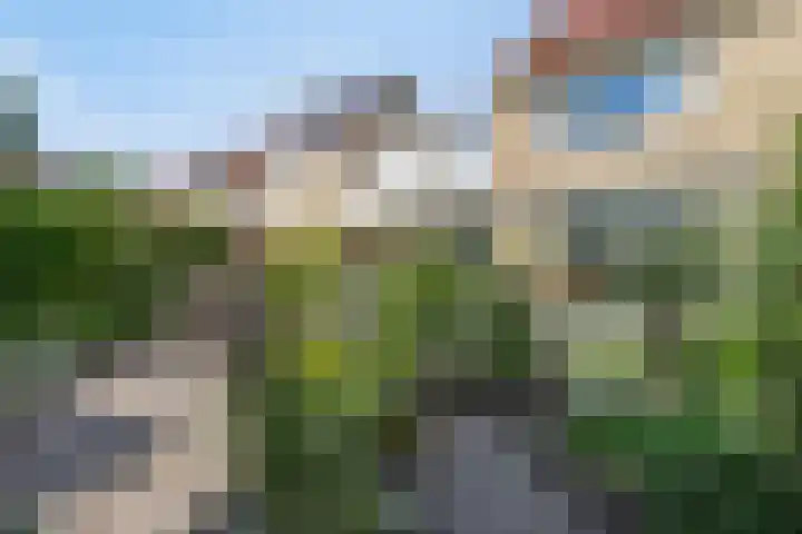 Klaproos 22 Leiden thumbnail 28