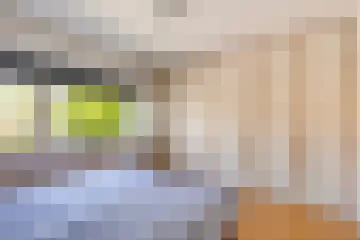 Klaproos 22 Leiden thumbnail 34