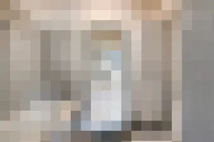 Klaproos 22 Leiden thumbnail 35