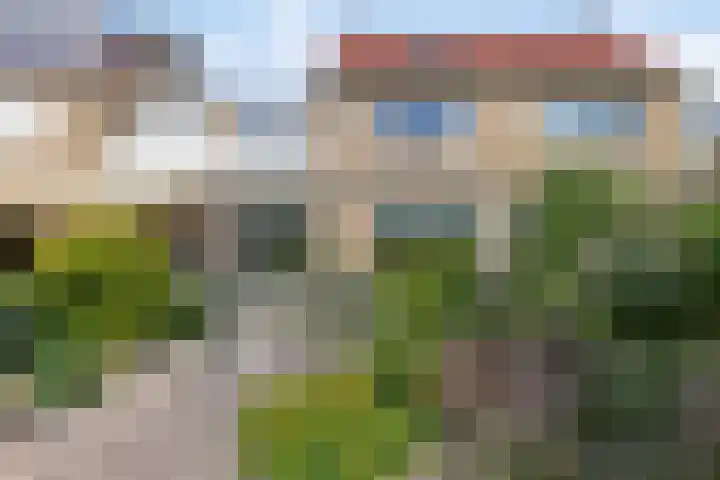Klaproos 22 Leiden thumbnail 4