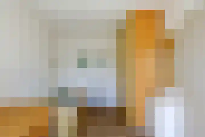 Klaproos 22 Leiden thumbnail 47