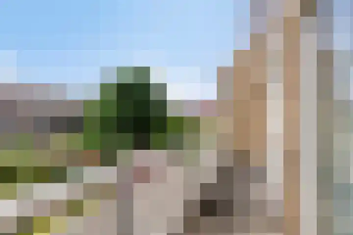 Klaproos 22 Leiden thumbnail 49