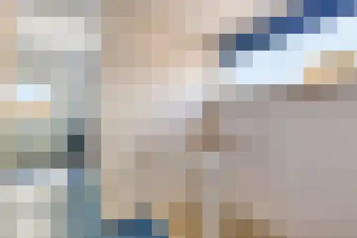 Klaproos 22 Leiden thumbnail 51