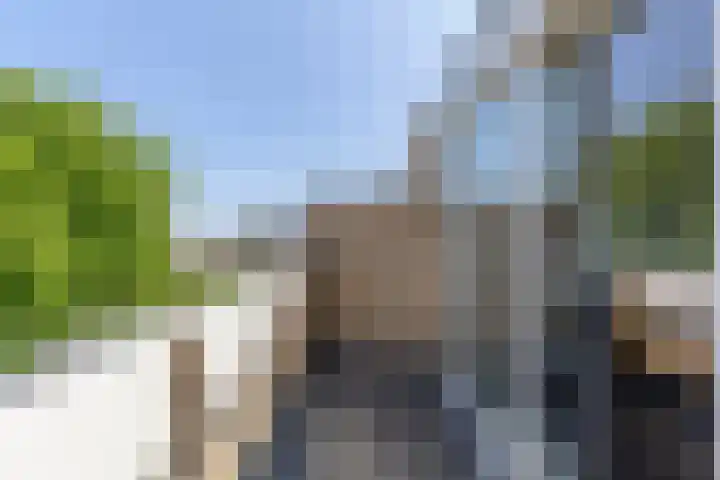 Klaproos 22 Leiden thumbnail 59