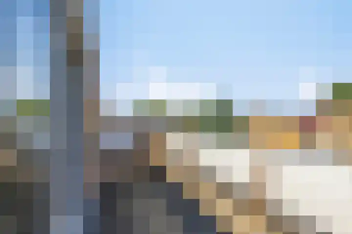 Klaproos 22 Leiden thumbnail 60