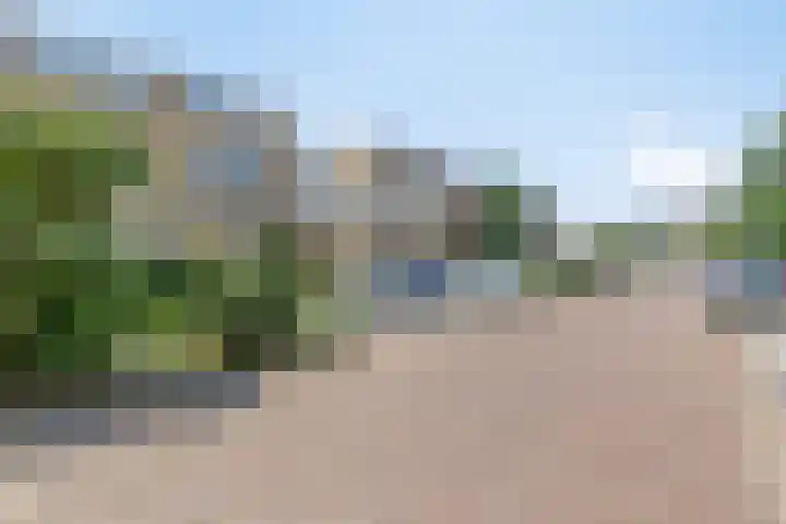 Klaproos 22 Leiden thumbnail 62