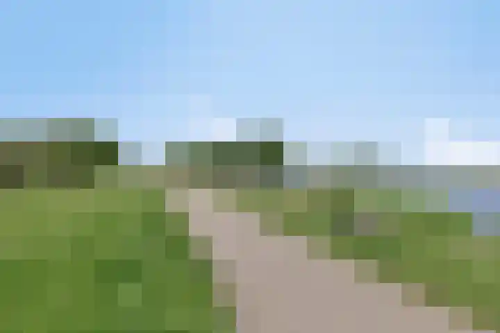Klaproos 22 Leiden thumbnail 64