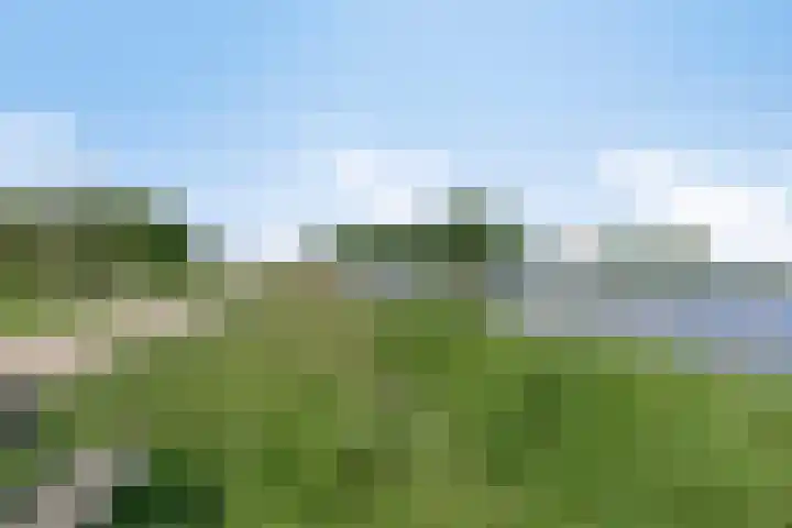 Klaproos 22 Leiden thumbnail 65