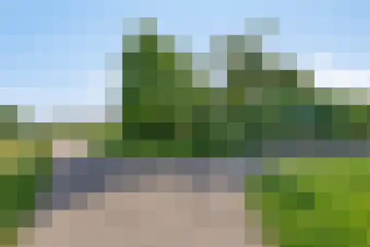 Klaproos 22 Leiden thumbnail 66