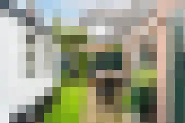 Klaproos 22 Leiden thumbnail 73