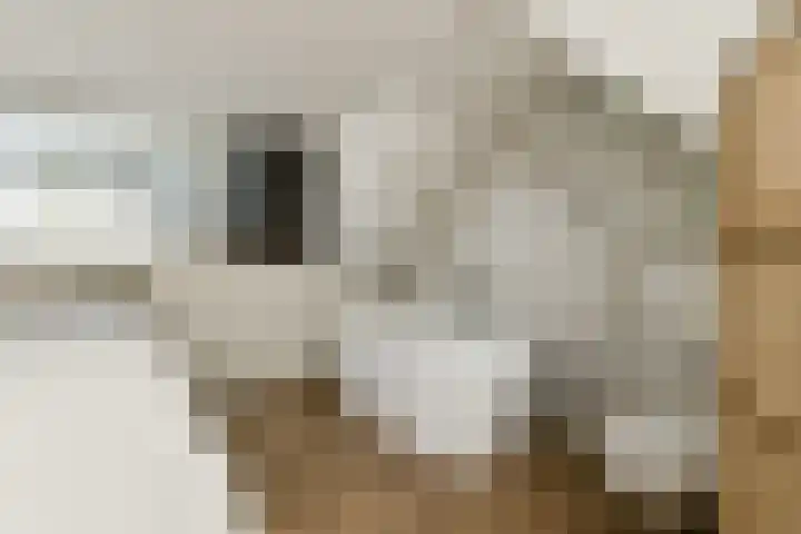 Klaproos 22 Ouderkerk aan de Amstel thumbnail 11