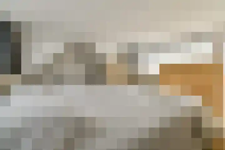 Klaproos 22 Ouderkerk aan de Amstel thumbnail 13