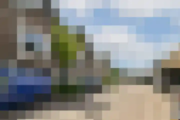 Klaproos 22 Ouderkerk aan de Amstel thumbnail 14