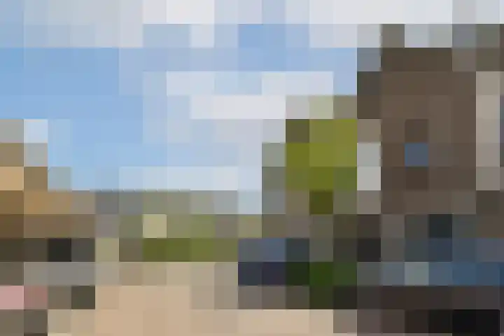Klaproos 22 Ouderkerk aan de Amstel thumbnail 15