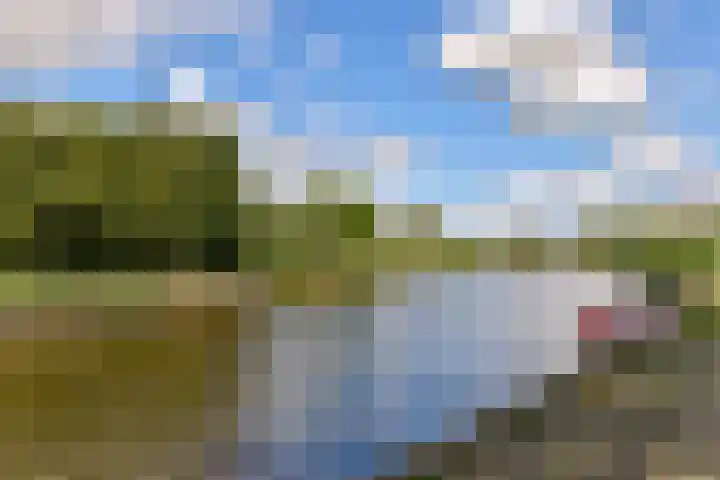 Klaproos 22 Ouderkerk aan de Amstel thumbnail 17