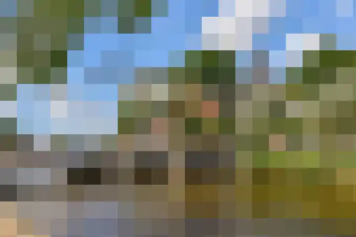 Klaproos 22 Ouderkerk aan de Amstel thumbnail 18