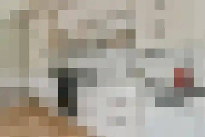 Klaproos 22 Ouderkerk aan de Amstel thumbnail 8