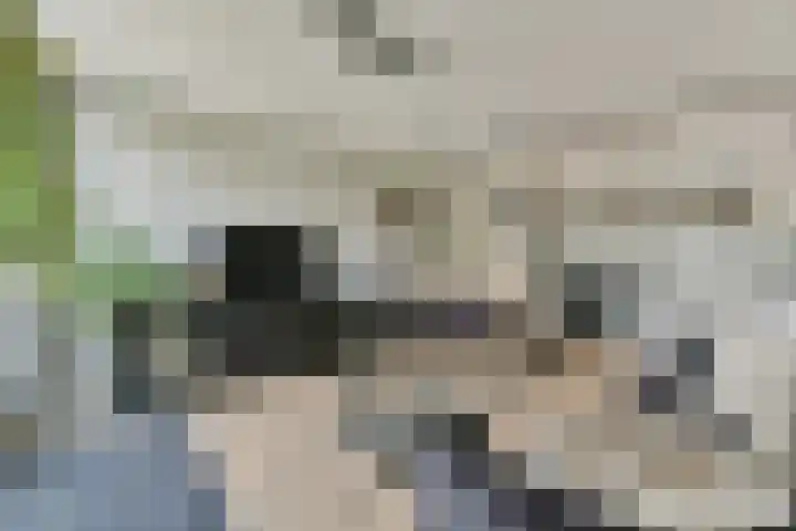 Klaproos 22 Ouderkerk aan de Amstel thumbnail 9