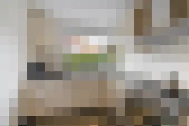 Klaproos 24 Leiden thumbnail 14