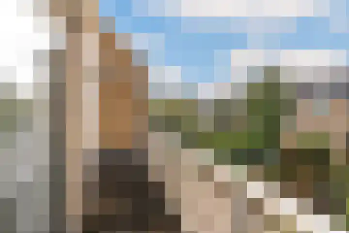 Klaproos 24 Leiden thumbnail 22