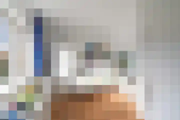 Klaproos 24 Leiden thumbnail 24