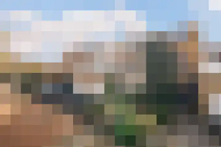 Klaproos 24 Leiden thumbnail 39