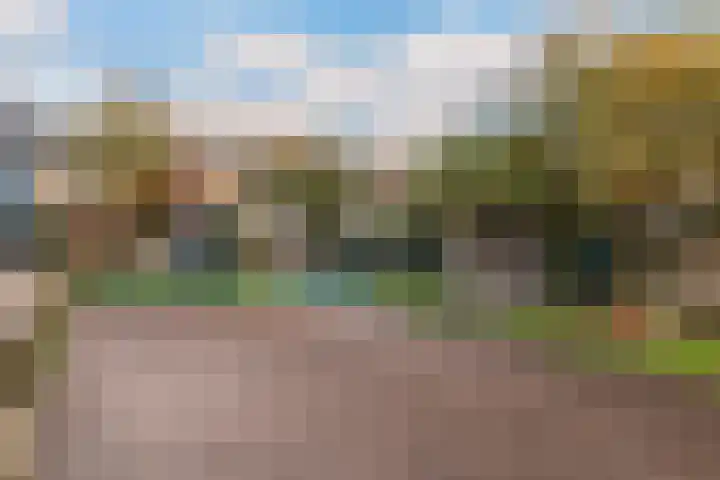 Klaproos 24 Leiden thumbnail 42