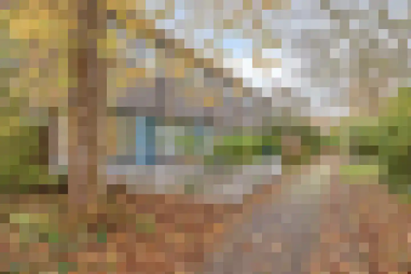 Klaproos 24 Uithoorn thumbnail 31