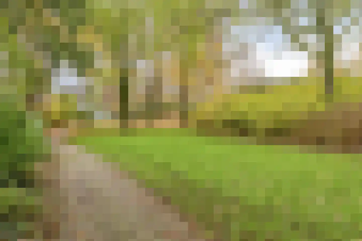 Klaproos 24 Uithoorn thumbnail 33