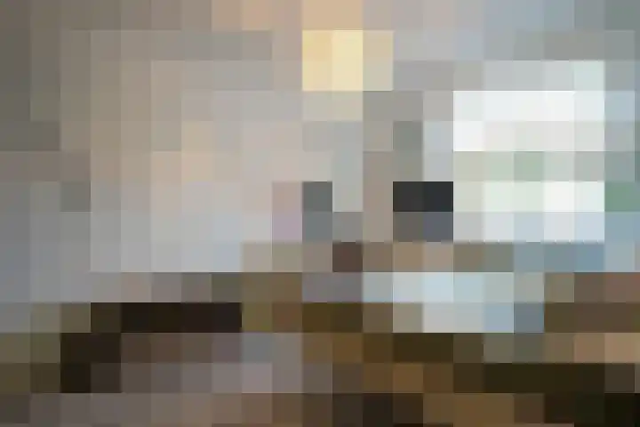Klaproos 25 Eijsden thumbnail 17