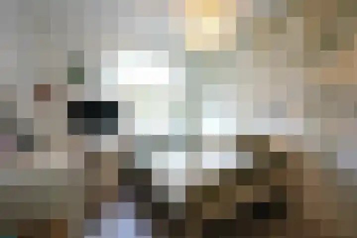 Klaproos 25 Eijsden thumbnail 18