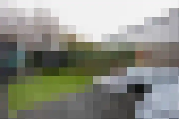 Klaproos 25 Eijsden thumbnail 26