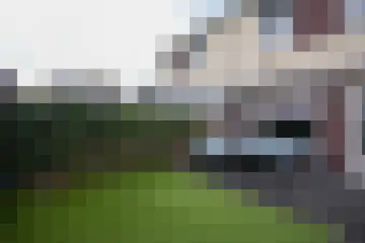 Klaproos 25 Eijsden thumbnail 28