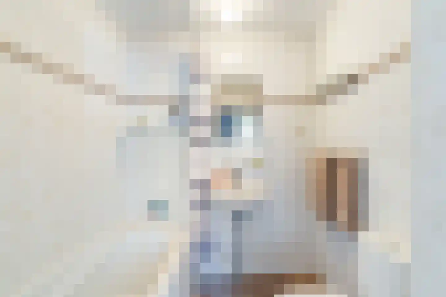 Klaproos 26 Leiden thumbnail 36