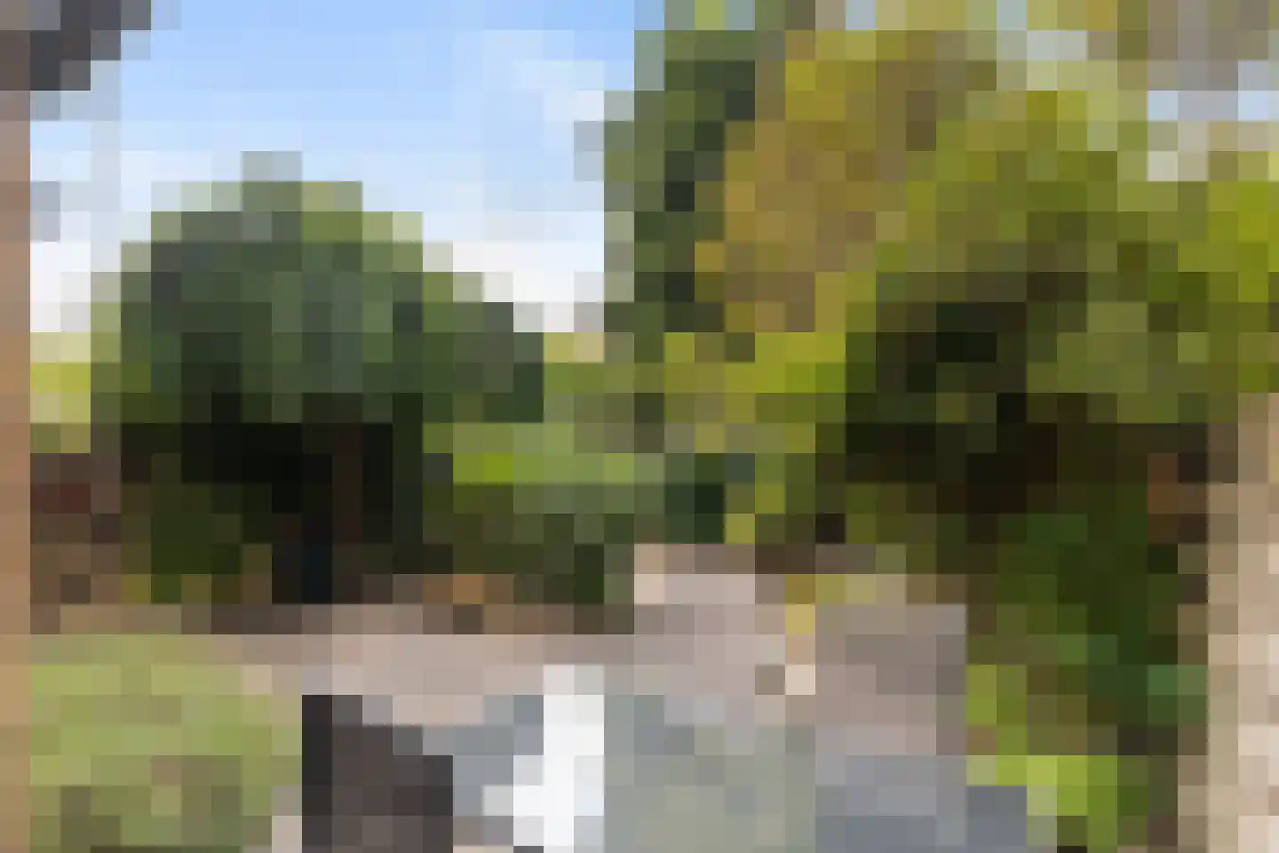 Klaproos 26 Leiden thumbnail 38