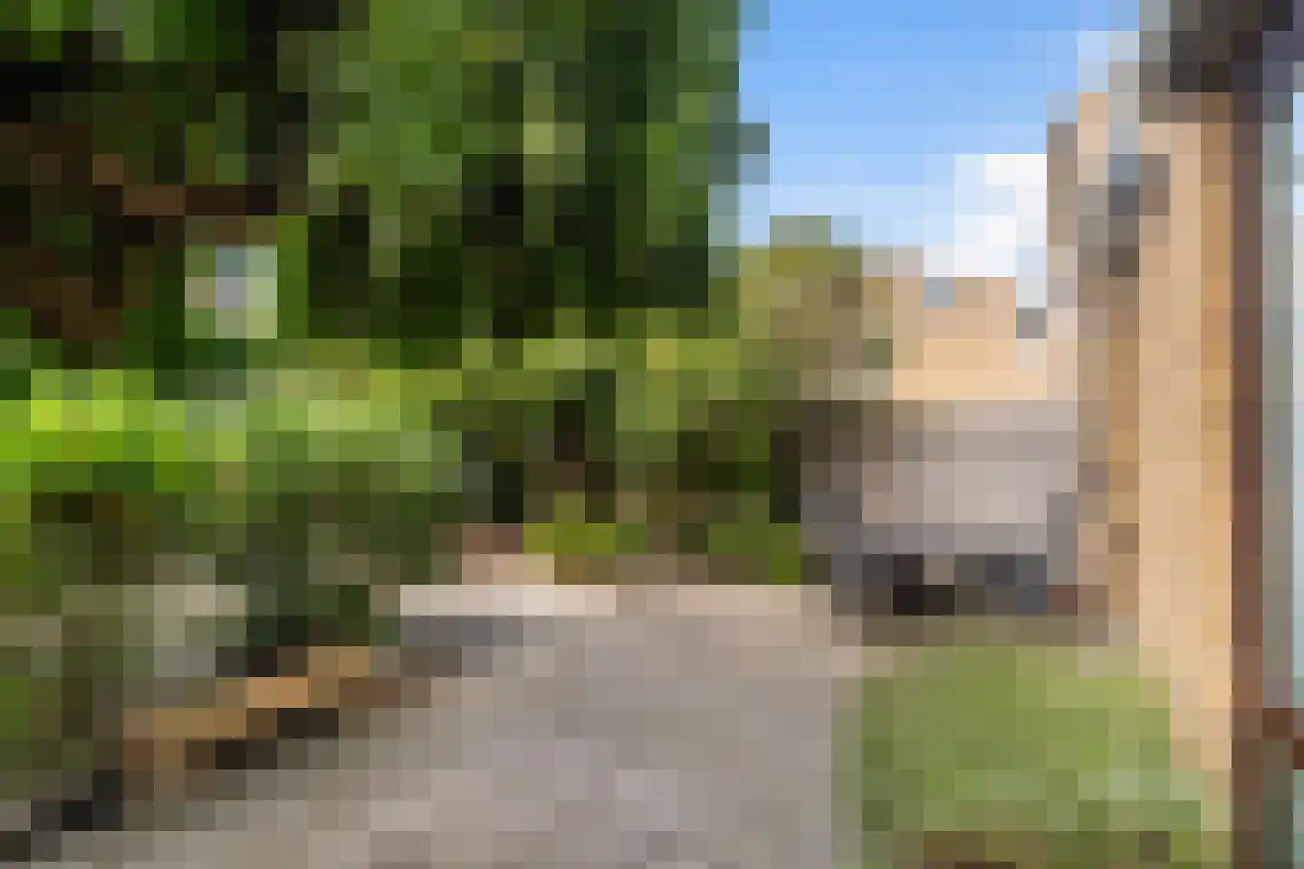 Klaproos 26 Leiden thumbnail 39