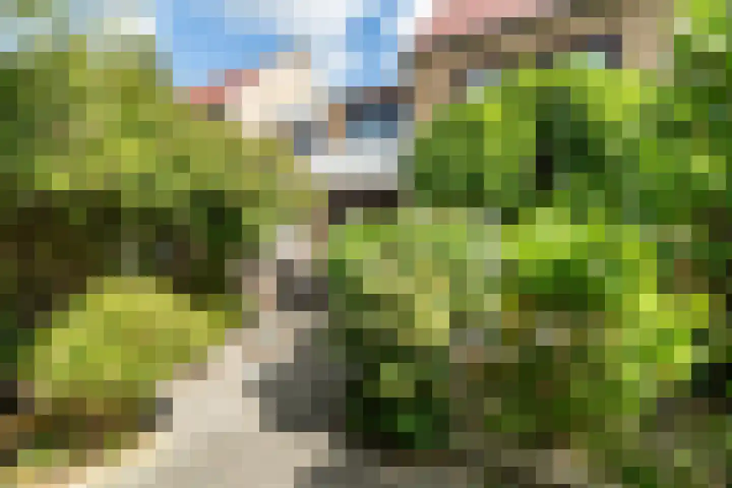 Klaproos 26 Leiden thumbnail 4