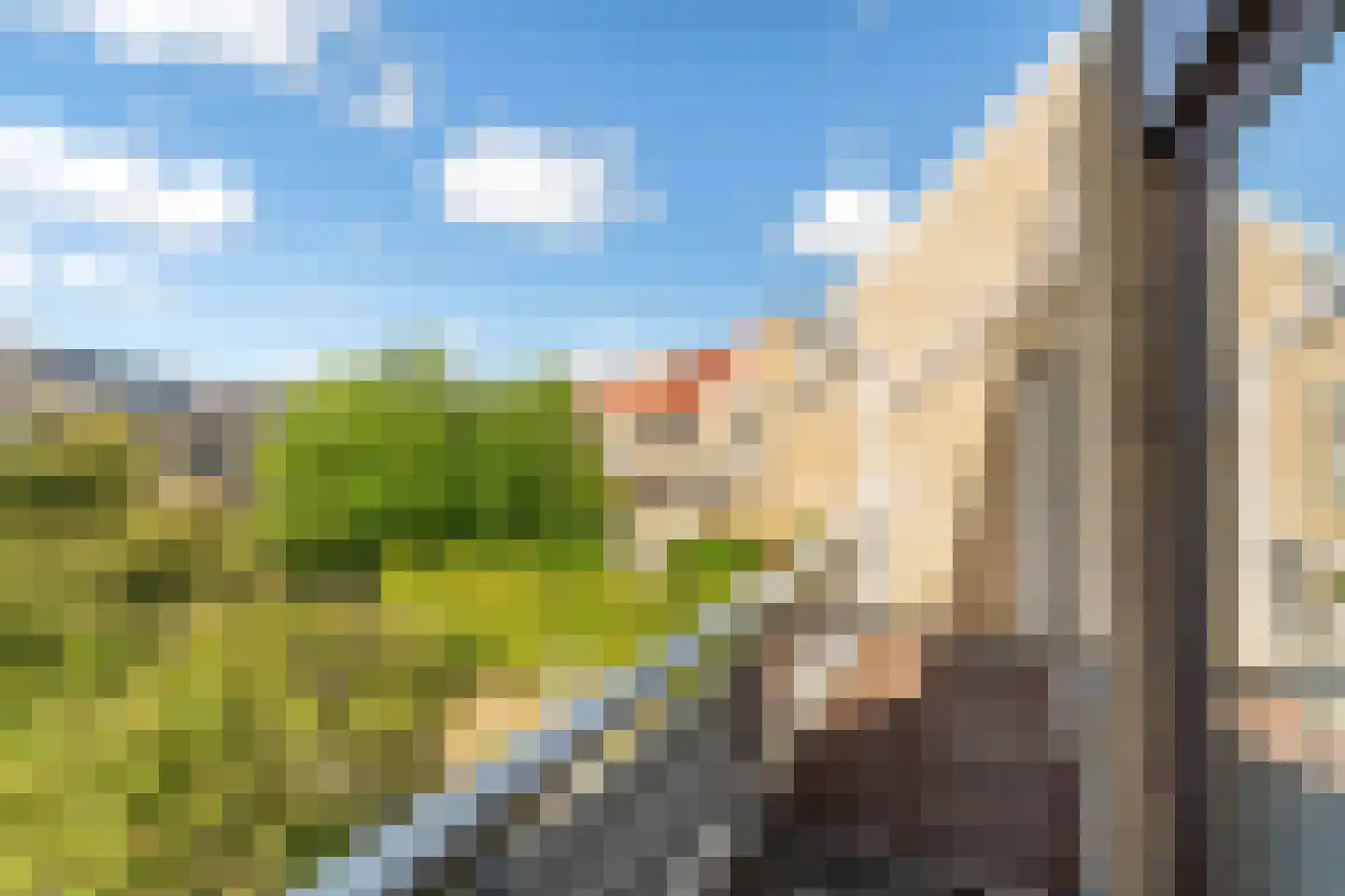 Klaproos 26 Leiden thumbnail 40