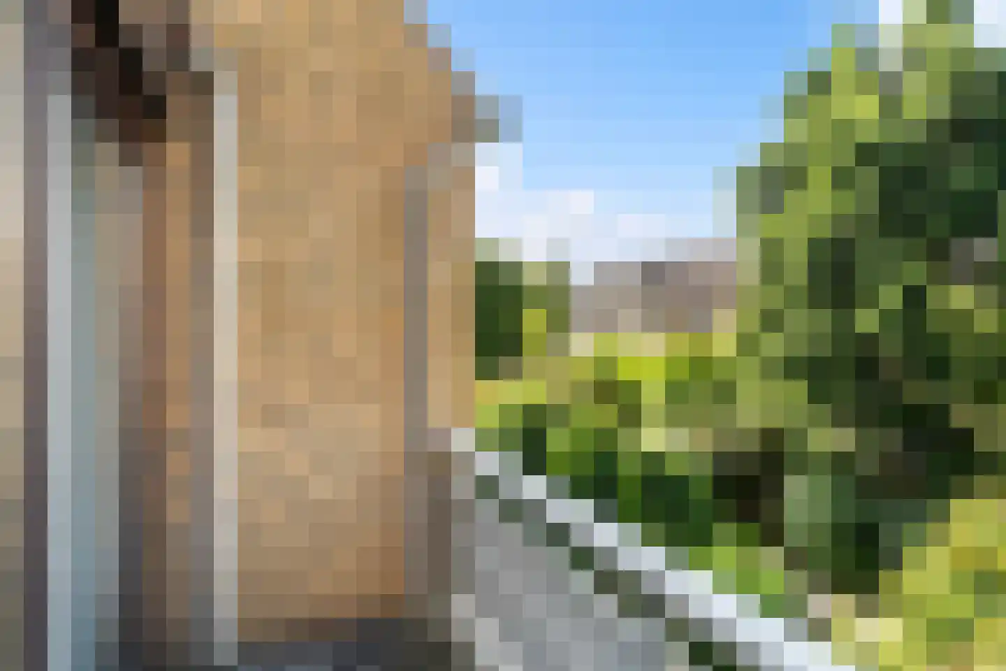 Klaproos 26 Leiden thumbnail 41